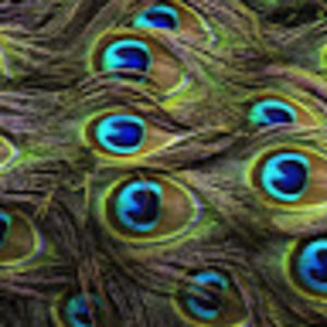 Meet your Posher, Becky